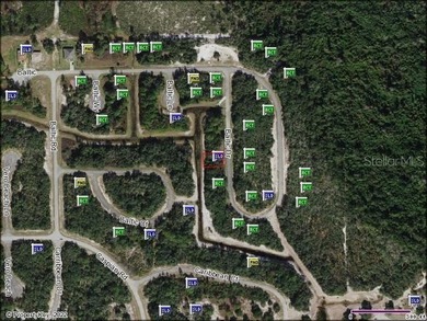 Lake Marion - Polk County Lot For Sale in Poinciana Florida