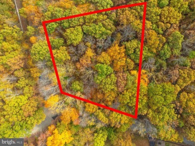 Lake Lot For Sale in Mineral, Virginia