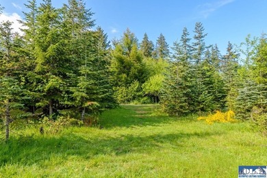 Tucked away on 4.7 beautiful acres, this stunning log home - photo 45