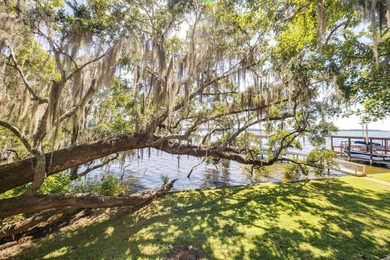 Lake Talquin lakefront home, beautifully maintained and move-in - photo 47