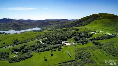 (private lake, pond, creek) Home For Sale in Nicasio California