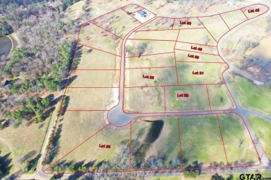 Lake Lot For Sale in Pittsburg, Texas