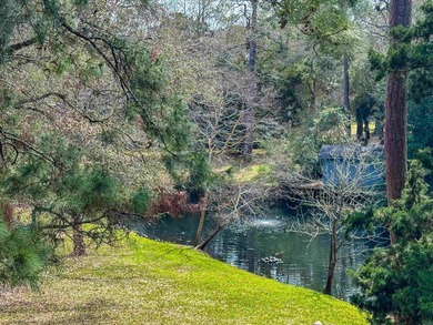 ***BE SURE TO WATCH WALK-THRU VIDEO INCLUDED IN LISTING!!*** - photo 9