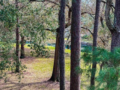 ***BE SURE TO WATCH WALK-THRU VIDEO INCLUDED IN LISTING!!*** - photo 10