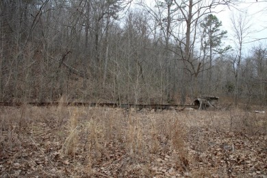 Lake Acreage For Sale in Yellville, Arkansas