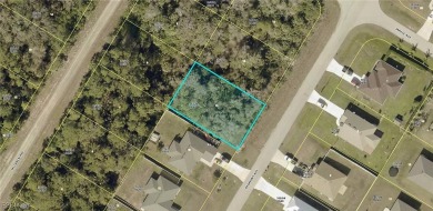 Lehigh Acres Area Lot For Sale in Lehigh Acres Florida
