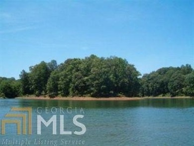 2.8 Acre peninsula with 1100 feet on the Corps Line. Convenient - photo 2