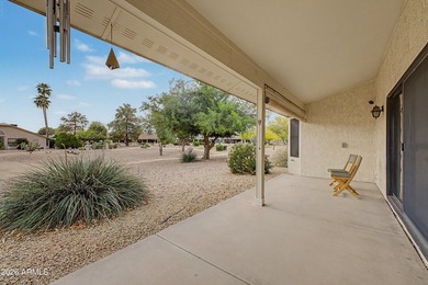 Welcome to easy, low maintenance living in the heart of Sun City - photo 21