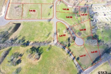 Lake Lot For Sale in Pittsburg, Texas