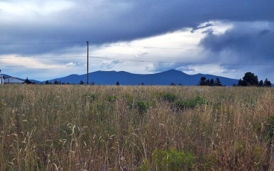 Lake Lot For Sale in Chiloquin, Oregon