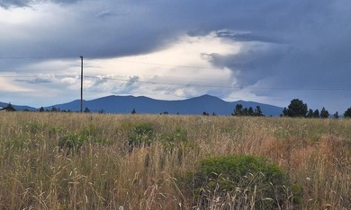 Two lots totaling .55 of an acre in Oregon Shores Unit 2, Nice - photo 2