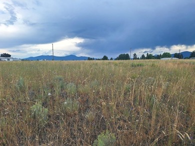 Two lots totaling .55 of an acre in Oregon Shores Unit 2, Nice - photo 5