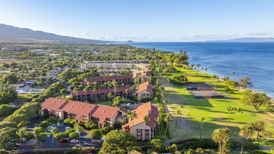 Welcome to Luana Kai A-101, the pinnacle of North Kihei - photo 3