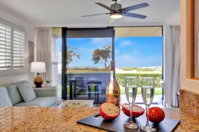 Welcome to Luana Kai A-101, the pinnacle of North Kihei - photo 5