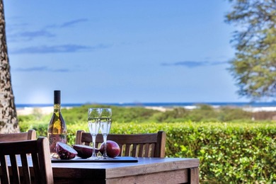 Welcome to Luana Kai A-101, the pinnacle of North Kihei - photo 6