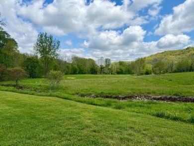 -This exceptional 60 acre property offers a rare combination of - photo 6