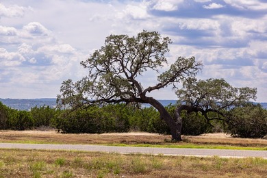 With a well already in place, this 13.50-acre tract features a - photo 12
