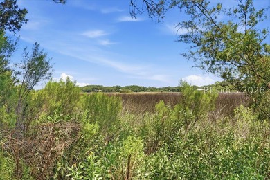 Filtered marsh, sunrise, and partial ocean views set this Cotton - photo 23