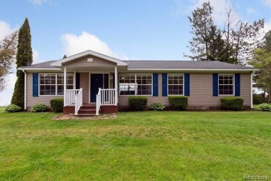 Lake Home For Sale in Harbor Beach, Michigan