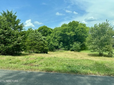 Lake Lot For Sale in Vonore, Tennessee
