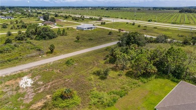 Lehigh Acres Area Lot For Sale in Lehigh Acres Florida