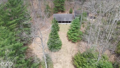 Welcome to your Northern Michigan retreat at 5592 N Bear Lake - photo 2