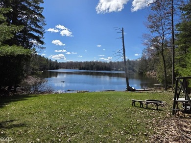 Welcome to your Northern Michigan retreat at 5592 N Bear Lake - photo 8