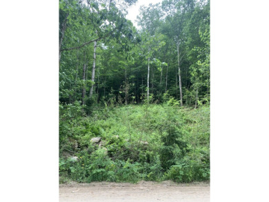 Belleau Lake Lot Sale Pending in Wakefield New Hampshire