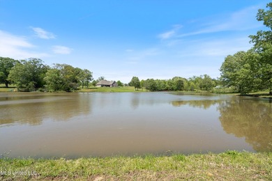 Welcome to 206 Swan Lake Drive in Coldwater, MS (Owner Financing - photo 11