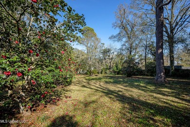 Looking for that Historical Beautiful Victorian Home on large - photo 18