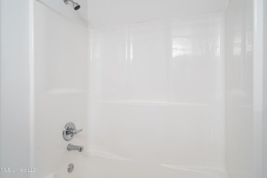 Welcome to 206 Swan Lake Drive in Coldwater, MS (Owner Financing - photo 29