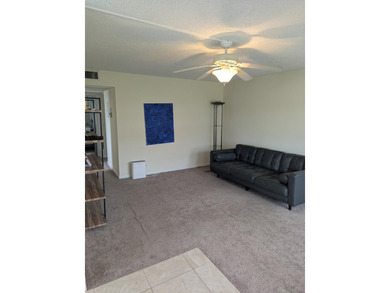 Bright ground-floor corner unit, partially furnished, featuring - photo 29