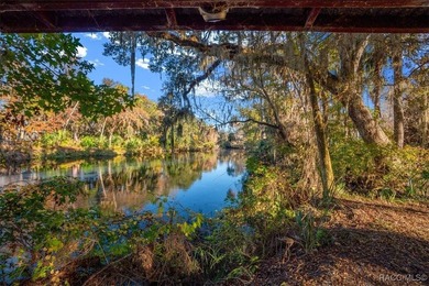 BOAT DOCK & DIRECT GULF ACCESS! You've found it-an exceptional - photo 30