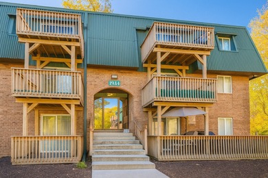 Lake Condo For Sale in Aurora, Illinois