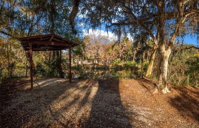 BOAT DOCK & DIRECT GULF ACCESS! You've found it-an exceptional - photo 31