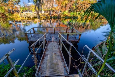 BOAT DOCK & DIRECT GULF ACCESS! You've found it-an exceptional - photo 32