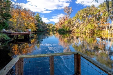 BOAT DOCK & DIRECT GULF ACCESS! You've found it-an exceptional - photo 33