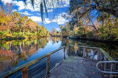 BOAT DOCK & DIRECT GULF ACCESS! You've found it-an exceptional - photo 34
