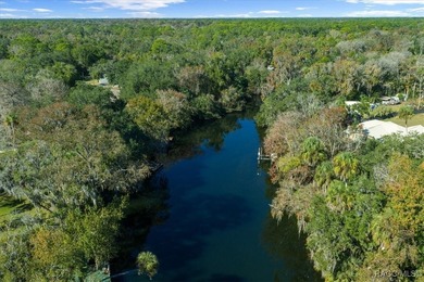 BOAT DOCK & DIRECT GULF ACCESS! You've found it-an exceptional - photo 37