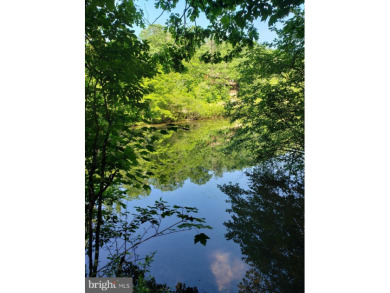 Lake Holiday Lot For Sale in Cross Junction Virginia