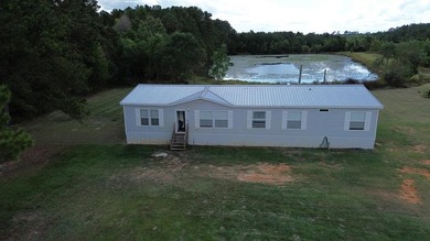 (private lake, pond, creek) Home For Sale in Kirbyville Texas