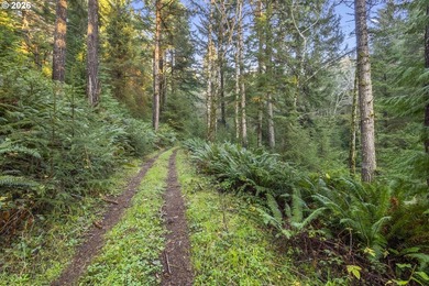 New photos & virtual tour. Seller finance option. Rare coastal - photo 9