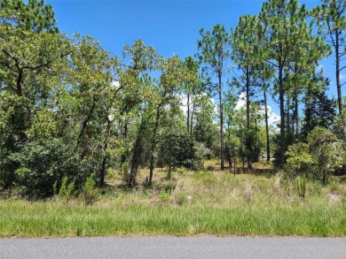 Lake Lot Sale Pending in Dunnellon, Florida