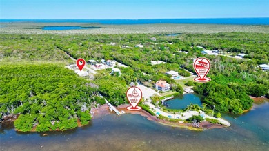 Huge Direct Oceanfront Compound - One-of-a-Kind with 276-Foot - photo 2