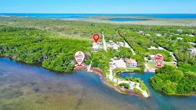 Huge Direct Oceanfront Compound - One-of-a-Kind with 276-Foot - photo 8