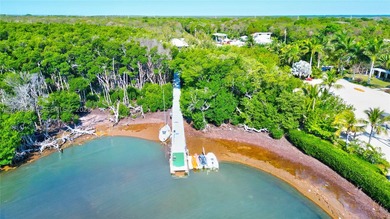 Huge Direct Oceanfront Compound - One-of-a-Kind with 276-Foot - photo 9