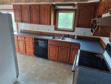 With a view of Bull Shoals Lake! - photo 8
