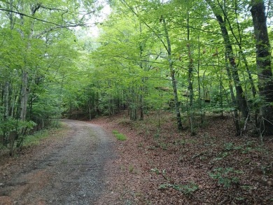 Lake Lot For Sale in Mineral Bluff, Georgia