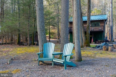 Welcome to a once a lifetime opportunity to own a Pocono - photo 3