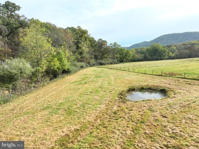 Escape to the open countryside and make this 1.50-acre parcel - photo 8